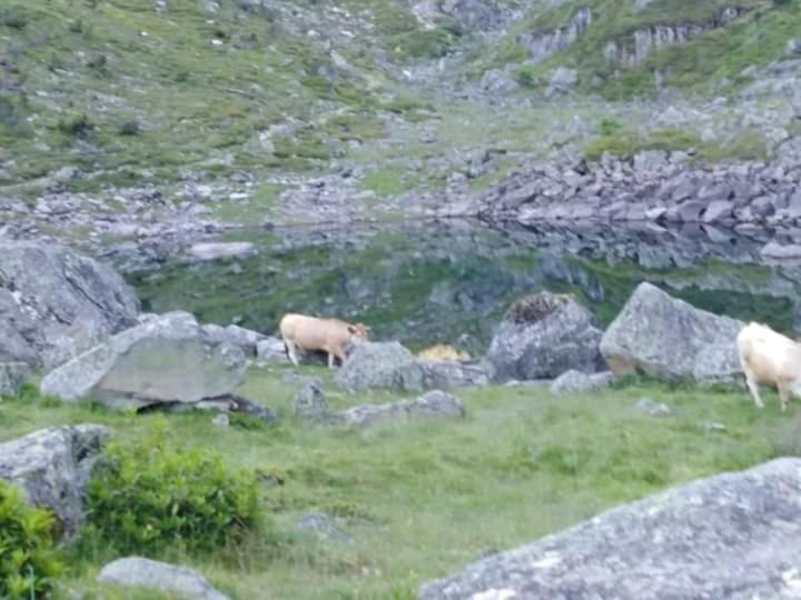 Le Studio D' Emi Argelès-Gazost Eksteriør billede